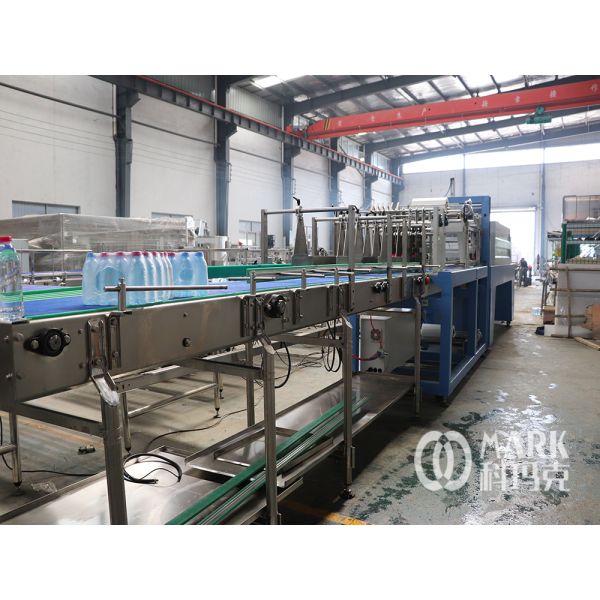 High Capacity Wholesales 3 In 1 Cola Drink Automatic Pet Filling Machine For Beer Carbonated