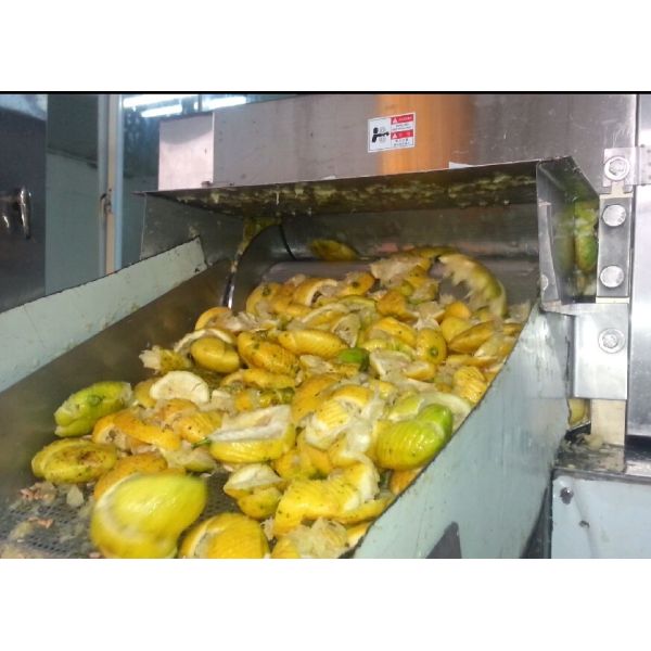 Efficient Orange Mango Pineapple Fruit Juice Production Line With Automatic Grade