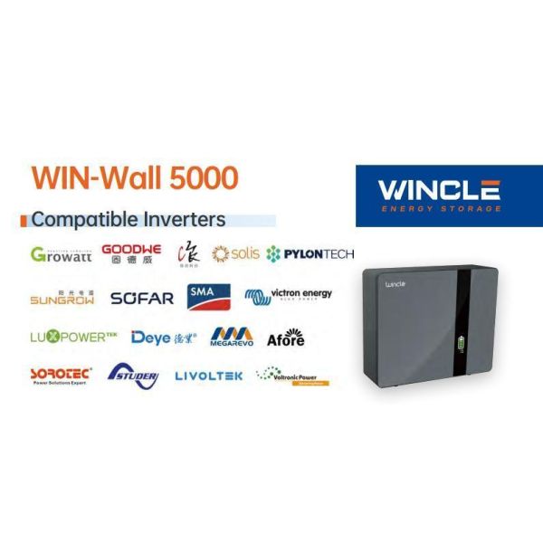 51.2V100ah Lithium Ion Li-ion LiFePO4 Solar Energy Storage Wall Mounted Rechargeable Battery