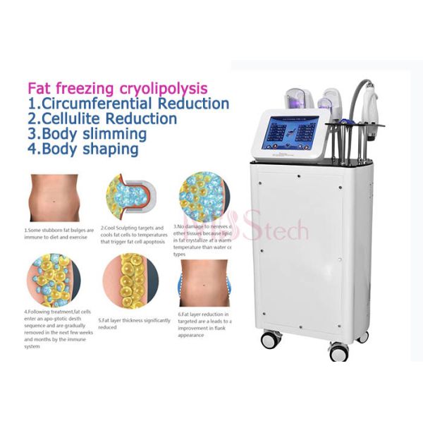Buy CE Rohs Weight Loss Body EMShapeing Cryolipolysis Machine at wholesale prices