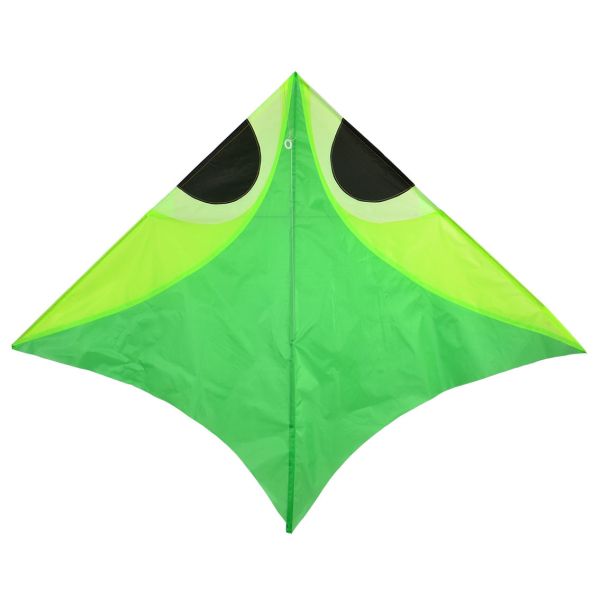 Kids Playing Use Delta Wing Kite Without Tail Fish Pattern 180*142cm