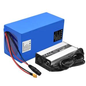 24v Rechargeable Lithium Ion Battery Packs 48v 36v For Powered Scooter