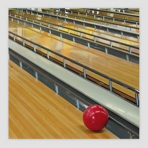 17m Bowling Lane Bumper Cricket Bowling Machine Practice Spare Parts with