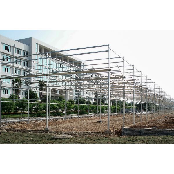 UV Resistant, Temperature-Regulated PC Greenhouse With Large Ventilation Areas -