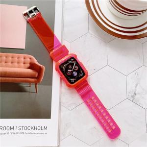 Transparent Integrated TPU Silicone Watchband Width 23mm Protective Shell
