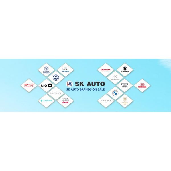 In Stock Automobile EV SUV Volkswagen ID4 X Auto Parking 600 Km Range For family 6