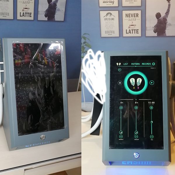 Buy Portable  Emslim Body bodyshaping Machine 100Hz With 4 Handles at wholesale prices