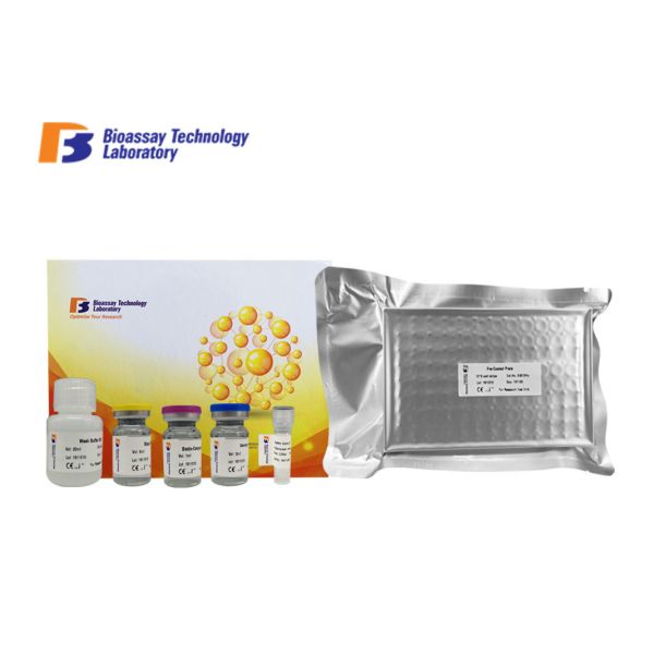 T3 Sandwich Bovine ELISA Kits Customized Tri - iodothyronine Immunoassay Test