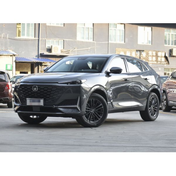 Economic Antomatic& Manual Gasoline UNIK 2.0T Deluxe 2021 Version 5 Door 5 seats SUV