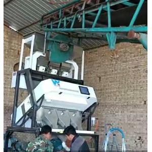 WenYao Groundnut Separating Machine Chestnut Walnuts Color Sorter For Peanut