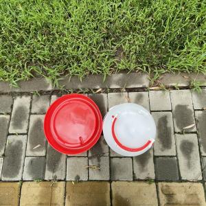 Efficient Durable Poultry Drinker Reliable Source Essential Tool Health Issues