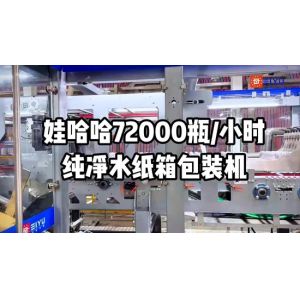High Speed 100g-3kg Wrap Around Case Packer with Wide Application and Mechanical