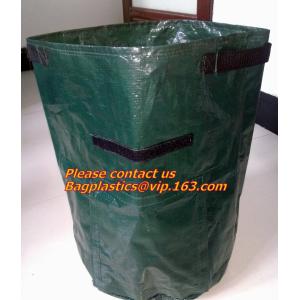 vegetables, fruits, seeds, bedding plants, tomatoes, peppers, cucumbers, tree