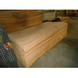 watergum  face veneer