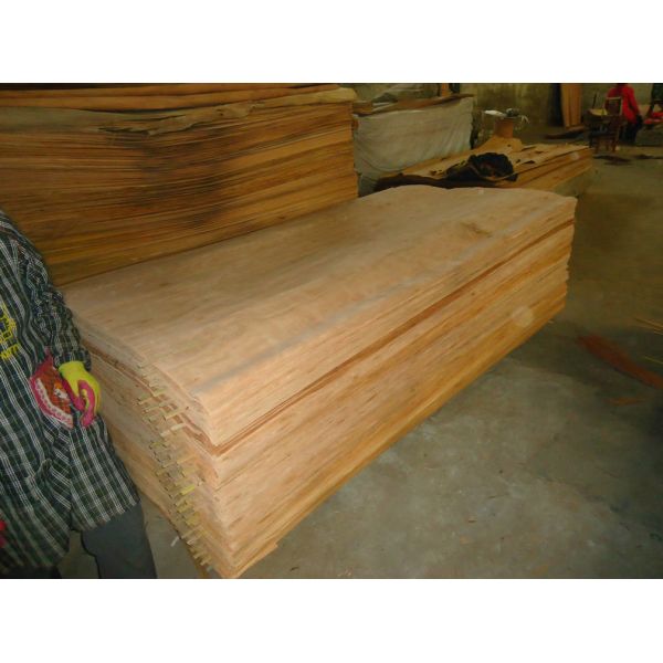 Buy watergum  face veneer at wholesale prices