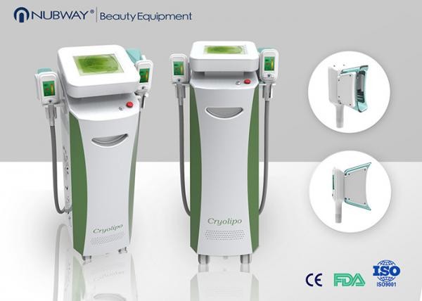 Buy 2 handles Fat Freezing/body shaping Cryolipolysis Slimming Machine at wholesale prices