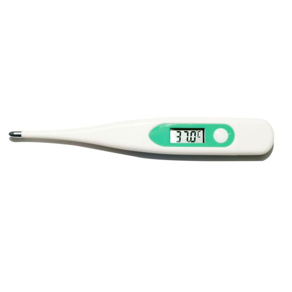 Buy Professional Testing Digital Clinical Thermometer With 1 Year Warranty at wholesale prices