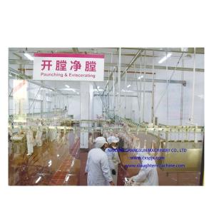 300-1000bph Poultry Processing Machinery for Chicken Abattoir Processing