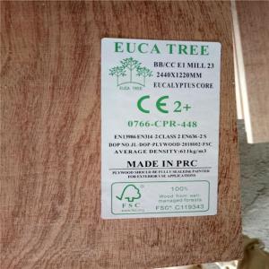 Glue E0 WBP Moisture 12% Sapele Veneer Plywood