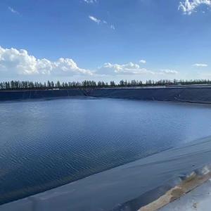 Chinese Geomembrane Impermeable Fish Pond Shrimp Pond Cistern Waterproof