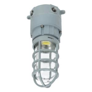 10-40W Explosion Proof Led High Bay ATEX AC100-277V