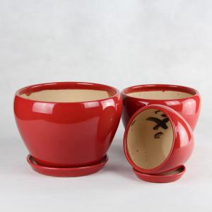 Stunning Plant Display With Our Ceramic Pots Affordable Prices