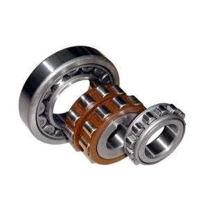 Brass Sealed Cylindrical Roller Bearings , Small Bearing Roller Cylindrical