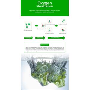 Meeting Household Pesticide Sterilization Multifunctional Kitchen Food Washer