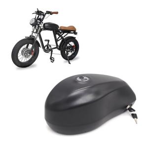 18650 36V/48V/52V/72V/10Ah/12Ah/15Ah/16Ah Hailong Electric Bicycle Battery Pack