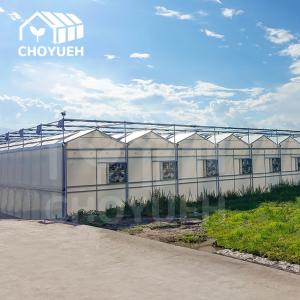 Quality Wind Resistance Multi Span Film Greenhouse With Ventilation System for sale