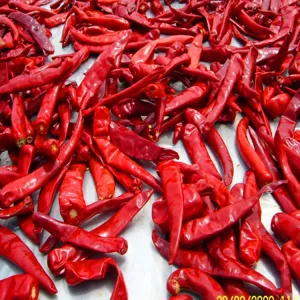 Quality 10kg Unit Weight Chilli With Moisture Content Of 12%Max for sale