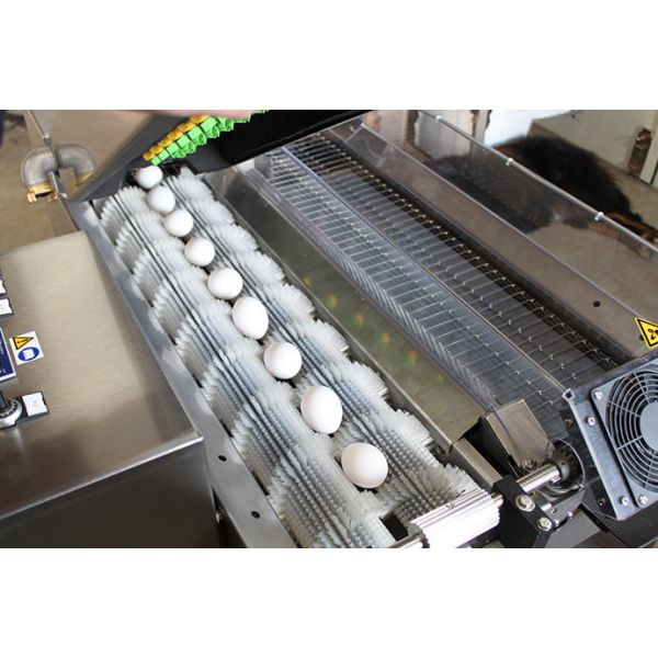 Potato Peeling Roller Sweeper Brush Roller OEM For Conveyor Belt