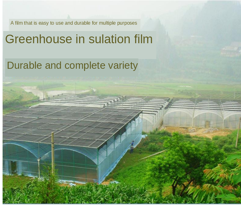 Agricultural PE Film, Agriculture Polyethylene, Film, mulch films, horticultural polyethylene film