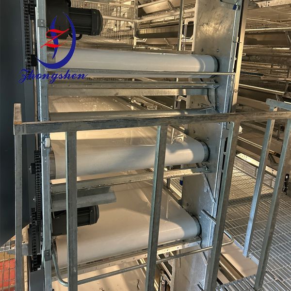 Buy Chicken Farming Manure Removal Poultry Manure Conveyor Belt at wholesale prices