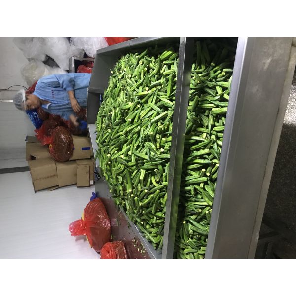 Snacks Vacuum Frying Machine Electric Power Continuously Oil Filtration