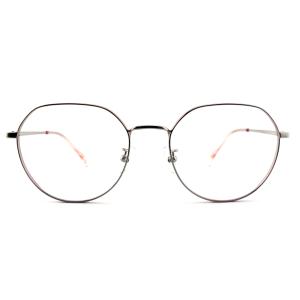 FM2595 Customized Optical Metal Frame Fashionable Lightweight Eyewear