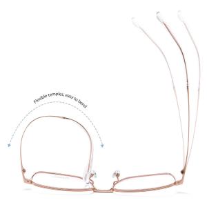 Optical Pure Titanium Eyewear Frames Skin Friendly with Removable Screws