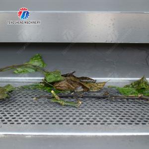 Air Brush Cleansing Citrus Processing Line , Anti Abrasion Sullage Removal