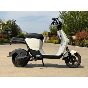 L1-D 350W Electric Two-Wheeler