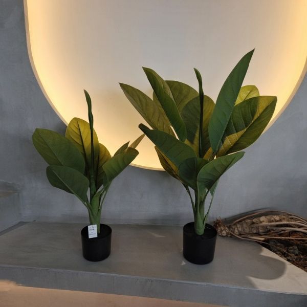 Buy Long Lasting Plastic Material Artificial Plants 70cm Artificial Dieffenbachia Tree at wholesale prices