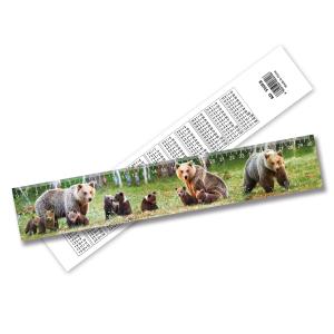 Quality New Trending High Quality Cheap Custom 3D Lenticular Ruler 3D Picture Irregularity Ruler By 3D Ruler Supplier for sale
