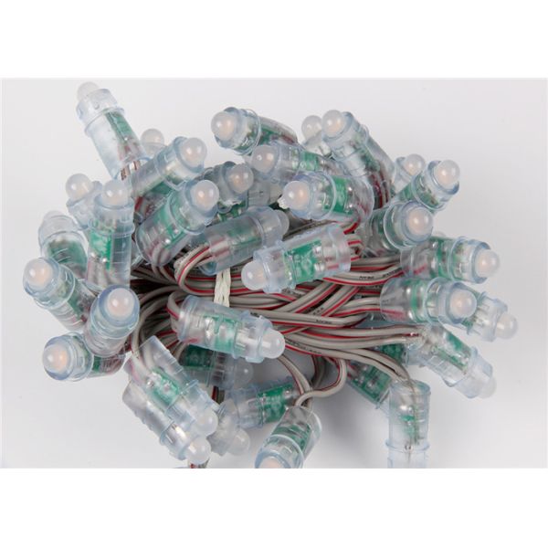 Buy Miracle Bean Pixel Led Module 12mm DC12V 0.12W Waterproof For Christmas Trees at wholesale prices