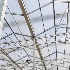 Agriculture Polycarbonate Greenhouse for Grape Planting