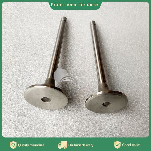 Hot sale Diesel Spare Part for Engine Exhaust Valve 3088389 3022602 3034827 3803528