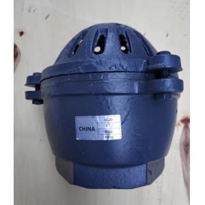 Quality 4'' GG20 PN16 BS21 cast iron foot valve for sale