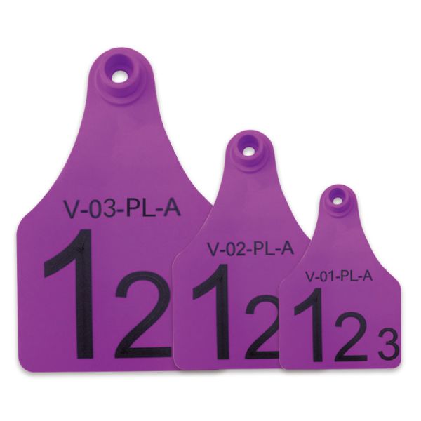 Buy Purple Re - use Male Electronic Ear Tags For Divisional Management Of Animals at wholesale prices