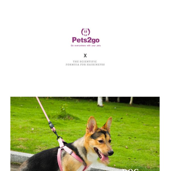 Round 120*2.5CM Traction Rope With Sponge Hand Guard