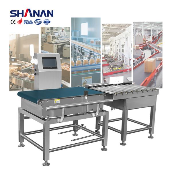 Buy High Tech Automated Conveyor Belt Sorting Equipment For Weighing Sorting Weight Checker at wholesale prices