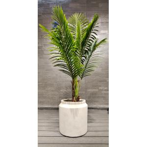 Light Beige Straight Cylinder Fiber Clay Outdoor Planter Architectural