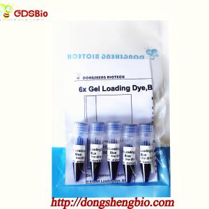 Quality M9051 1mlx5 6× Loading Buffer In Gel DNA Electrophoresis Specific Reagents for sale
